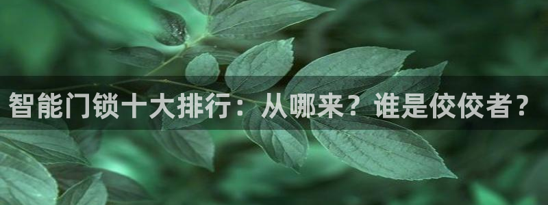 开丰娱乐官网平台下载：智能门锁十大排行：从哪来？谁是佼佼者？