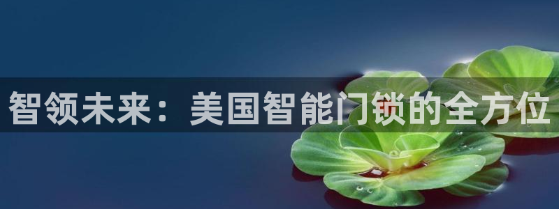 开丰娱乐下7O667：智领未来：美国智能门锁的全方位
