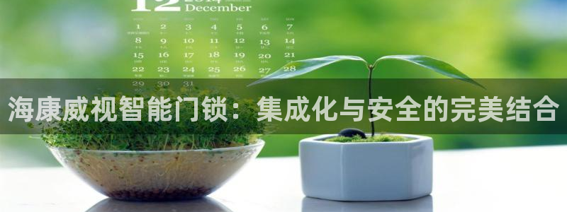 开丰娱乐平台官网登录：海康威视智能门锁：集成化与安全的完美结