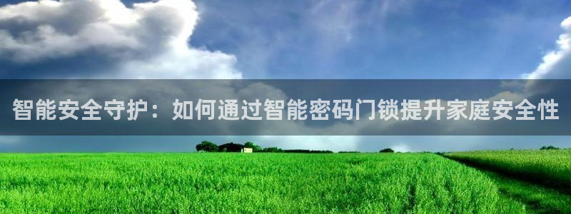 开丰娱乐登录平台：智能安全守护：如何通过智能密码门锁提升家庭