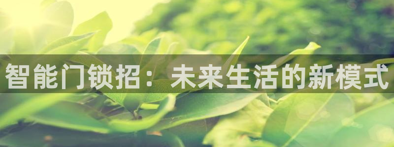 开丰娱乐平台登录：智能门锁招：未来生活的新模式