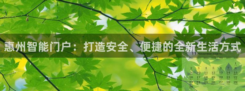 开丰娱乐寸67五壹叁八：惠州智能门户：打造安全、便捷的全新生