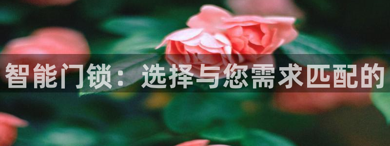开丰娱乐科技：智能门锁：选择与您需求匹配的