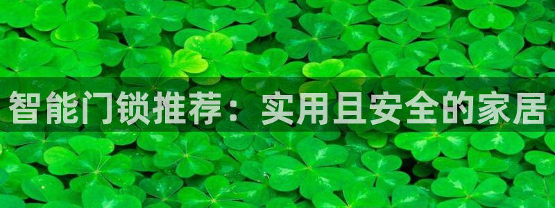 开丰娱乐日7O667：智能门锁推荐：实用且安全的家居