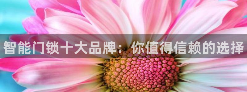 开丰娱乐平台注册：智能门锁十大品牌：你值得信赖的选择