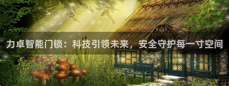 开丰娱乐日：力卓智能门锁：科技引领未来，安全守护每一寸空间