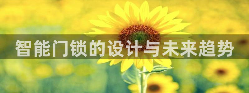 开丰娱乐月7O667：智能门锁的设计与未来趋势