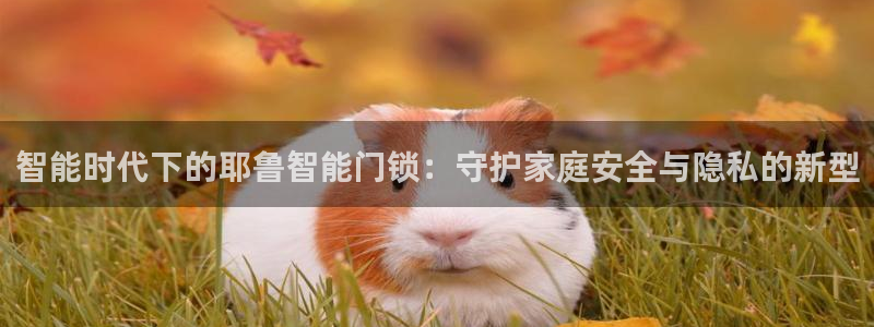 开丰娱乐天：智能时代下的耶鲁智能门锁：守护家庭安全与隐私的新