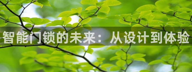 开丰娱乐注册登录不了：智能门锁的未来：从设计到体验