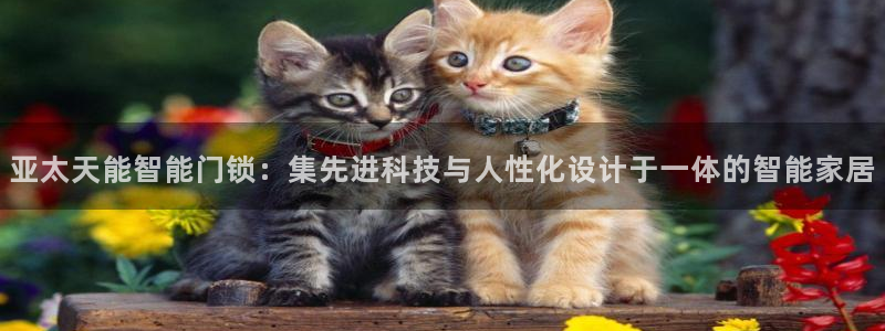 开丰娱乐山67五壹叁八：亚太天能智能门锁：集先进科技与人性化