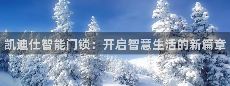 开丰娱乐注册资金多少：凯迪仕智能门锁：开启智慧生活的新篇章