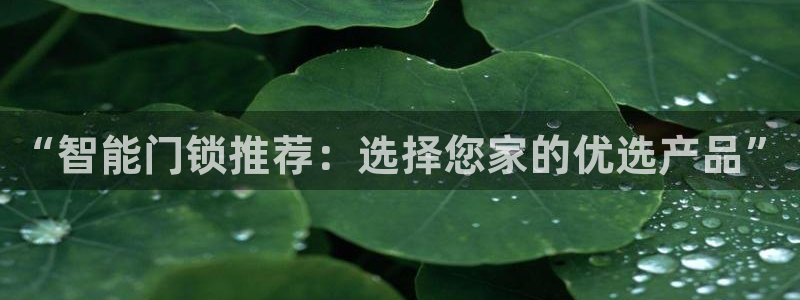 开丰娱乐官网招聘：“智能门锁推荐：选择您家的优选产品”