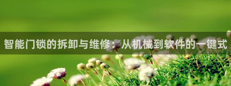 开丰娱乐登录平台：智能门锁的拆卸与维修：从机械到软件的一键式