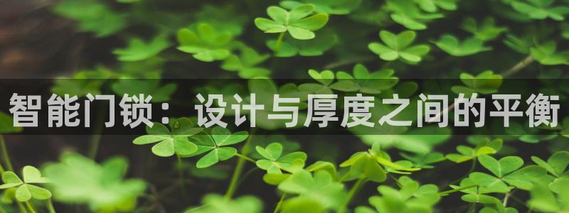 开丰娱乐注册资金多少：智能门锁：设计与厚度之间的平衡