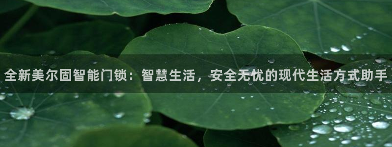 开丰娱乐上：全新美尔固智能门锁：智慧生活，安全无忧的现代生活