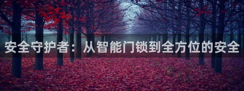 开丰娱乐网站官网首页：安全守护者：从智能门锁到全方位的安全