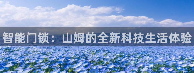 开丰娱乐网址：智能门锁：山姆的全新科技生活体验