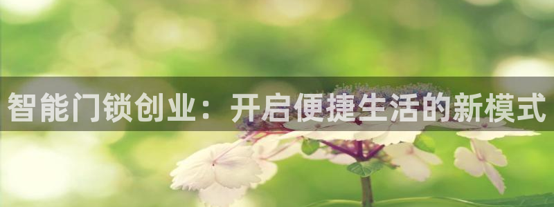 开丰娱乐注册系究耍333OO：智能门锁创业：开启便捷生活的新