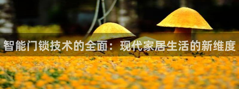 开丰娱乐官网平台下载：智能门锁技术的全面：现代家居生活的新维