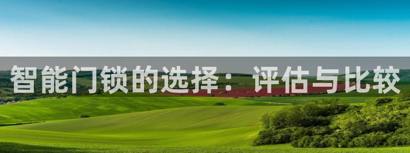 开丰娱乐予 7O935：智能门锁的选择：评估与比较