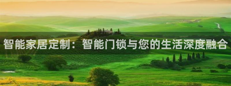 开丰娱乐网官网注册入口：智能家居定制：智能门锁与您的生活深度