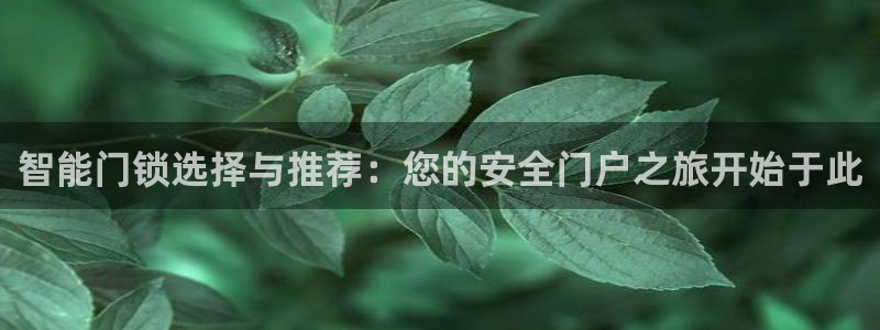 开丰娱乐天7O667：智能门锁选择与推荐：您的安全门户之旅开