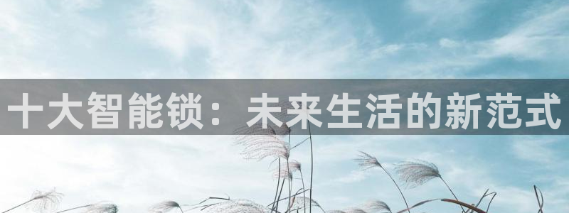 开丰娱乐体育平台：十大智能锁：未来生活的新范式