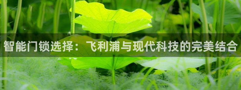 开丰娱乐开户：智能门锁选择：飞利浦与现代科技的完美结合