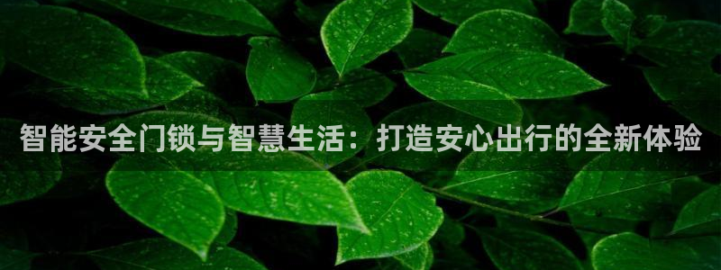 开丰娱乐最新活动：智能安全门锁与智慧生活：打造安心出行的全新